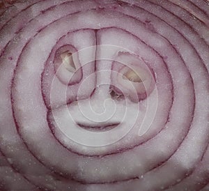 Ð¡ut onion, similar to the face