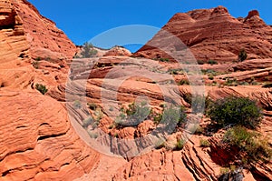 UT-Paria Canyon-Vermillion Cliffs Wilderness area