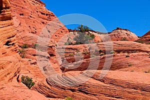 UT-Paria Canyon-Vermillion Cliffs Wilderness area