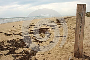 Utah Beach, Normandy