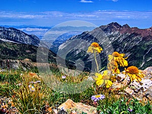 Utah Canyon Hiking Trail towards the Wasatch Mountains