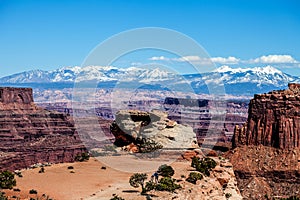 Utah-Canyonlands National Park-Island in the Sky District