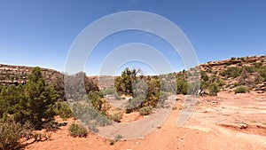 Utah desert arid trail cedar trees brush drive pov 4K