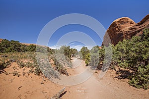 Utah Landscape