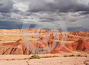 Utah landscape with red rocks, USA