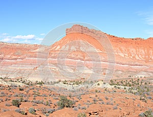 Utah, USA: Butte in the Vermillion Cliffs Wilderness