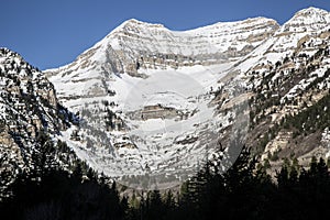 Utah Wasatch Mountain scene of springtime snow and pine trees