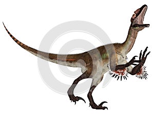 Utahraptor