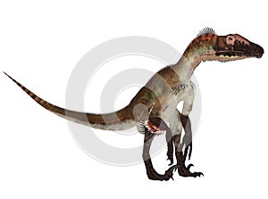 Utahraptor