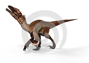 Dinosaurs: Utahraptor with Feathers. 3D Illustration