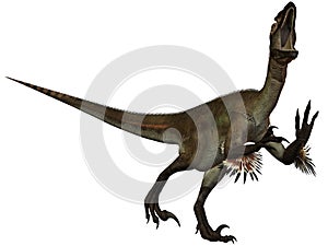 Utahraptor ostrommayorum-3D Dinosaur