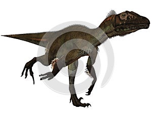 Utahraptor ostrommayorum-3D Dinosaur