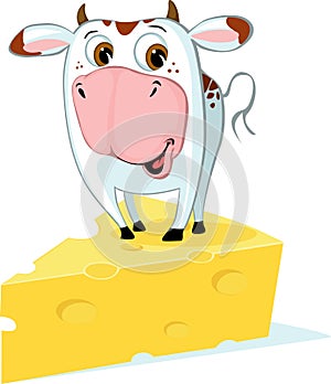 ute Cow Standing on the Cheese - Funny Vector Cartoon Illustration