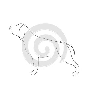 Ute dog on white background line draw