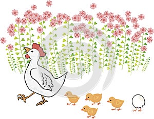 Ð¡ute hen with chicks near the flowers