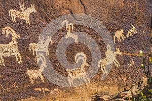 Ute Indian Petroglyphs Delicate Arch Arches National Park Moab Utah