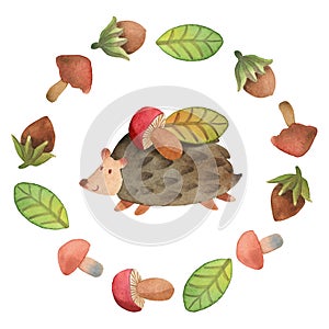 Ð¡ute little hedgehog with mushroom and leaf surrounded by wreath of mushroom, hazelnut and leaf, isolated on white background