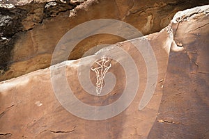 Ute petroglyphs in Arches National Park, Utah photo