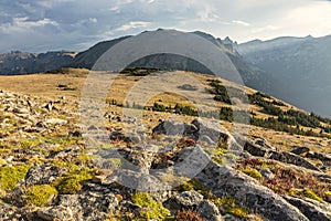 Ute Trail Tundra and Stones PEak photo