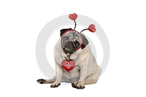 Ute Valentines day pug puppy dog, sitting down, wearing hearts diadem