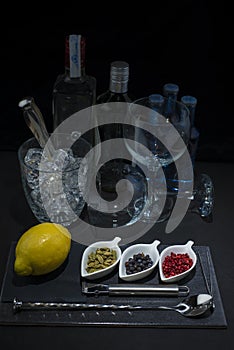 Utensils and ingredients to prepare a gin tonic