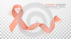 Uterine Cancer Awareness Month. Peach Color Ribbon Isolated On Transparent Background. Vector Design Template For Poster
