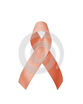 Uterine and Gynecologic Cancer Awareness ribbon (isolated with clipping path) with peach bow color on white background