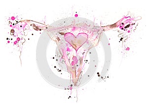 Uterus 15