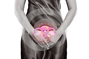 Uterus or Endometrium illustration photo
