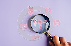 Uterus female reproductive system, women health, PCOS, ovary gynecologic and cervical cancer, magnifier focus to uterus icon,