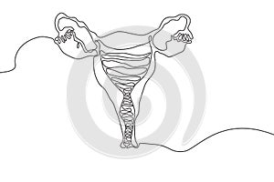 Uterus Hand drawn icon continuous line drawing. Human organs Creative abstract art background Trendy concept One single