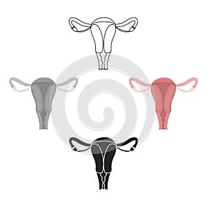 Uterus icon in cartoon,black style isolated on white background. Organs symbol stock vector illustration.