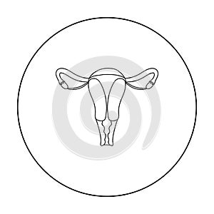 Uterus icon in outline style isolated on white background. Organs symbol stock vector illustration.