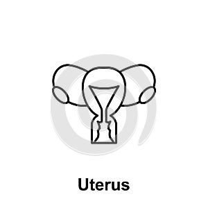 Uterus, organ icon. Element of human organ icon. Thin line icon for website design and development, app development. Premium icon