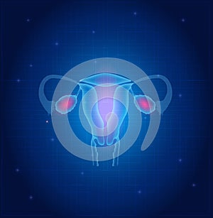 Uterus and ovaries background