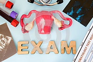 Uterus ovary and cervix gynecological examination, tests and diagnostics procedure concept. Model of female reproductive organs ex photo