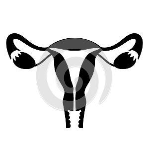 Uterus vector icon photo