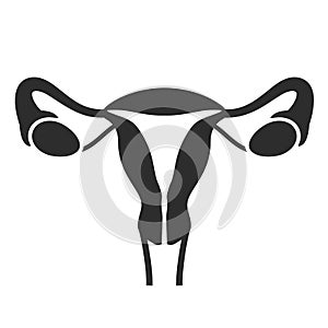 Uterus vector medical icon