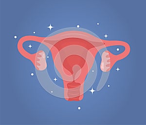 Uterus. Woman reproductive health illustration. Gynecology. Anatomy. Vector illustration