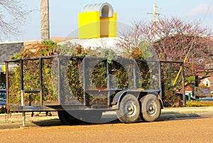 Utility Trailer filled with Shrubbery photo