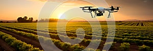 Utilize drones equipped with sensors and cameras to monitor crop health, detect diseases, and optimize planting patterns photo