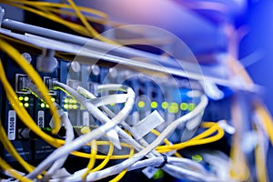 UTP cabling and computer network device photo