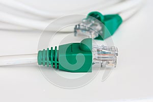 UTP CAT5 Network Cable on White Background.