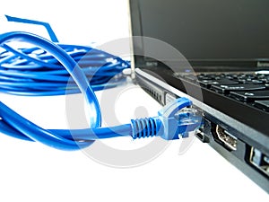 UTP network cable