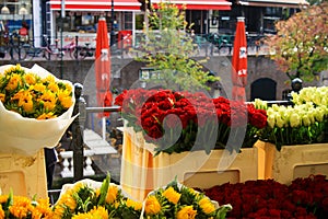 UTRECHT, NETHERLANDS - OCTOBER 20. 2018: View on bouquets of yellow sunflowers and red tulips near water canal on flower market