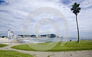 Utsumi beach with palm tree, Japan