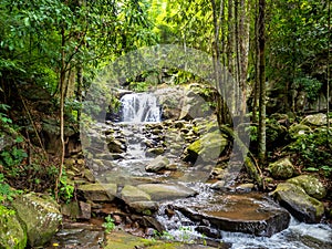 Uttaradit Province, Thailand - July, 24, 2023 : Scenic of Nature at Phu Soi Dao National Park, north of Thailand.