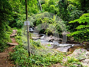 Uttaradit Province, Thailand - July, 24, 2023 : Scenic of Nature at Phu Soi Dao National Park, north of Thailand.