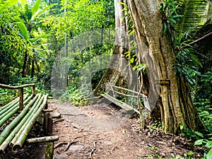 Uttaradit Province, Thailand - July, 24, 2023 : Scenic of Nature at Phu Soi Dao National Park, north of Thailand.