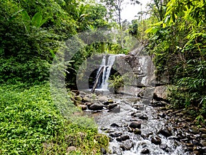 Uttaradit Province, Thailand - July, 24, 2023 : Scenic of Nature at Phu Soi Dao National Park, north of Thailand.